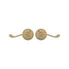 Victorian Round Rose Lever Set in Polished Brass