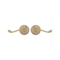Victorian Round Rose Lever Set in Polished Brass Unlacquered