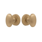 Knob Latch Oval in Matt Satin Brass