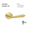 Oxford Dummy - Non Handed in Satin Brass