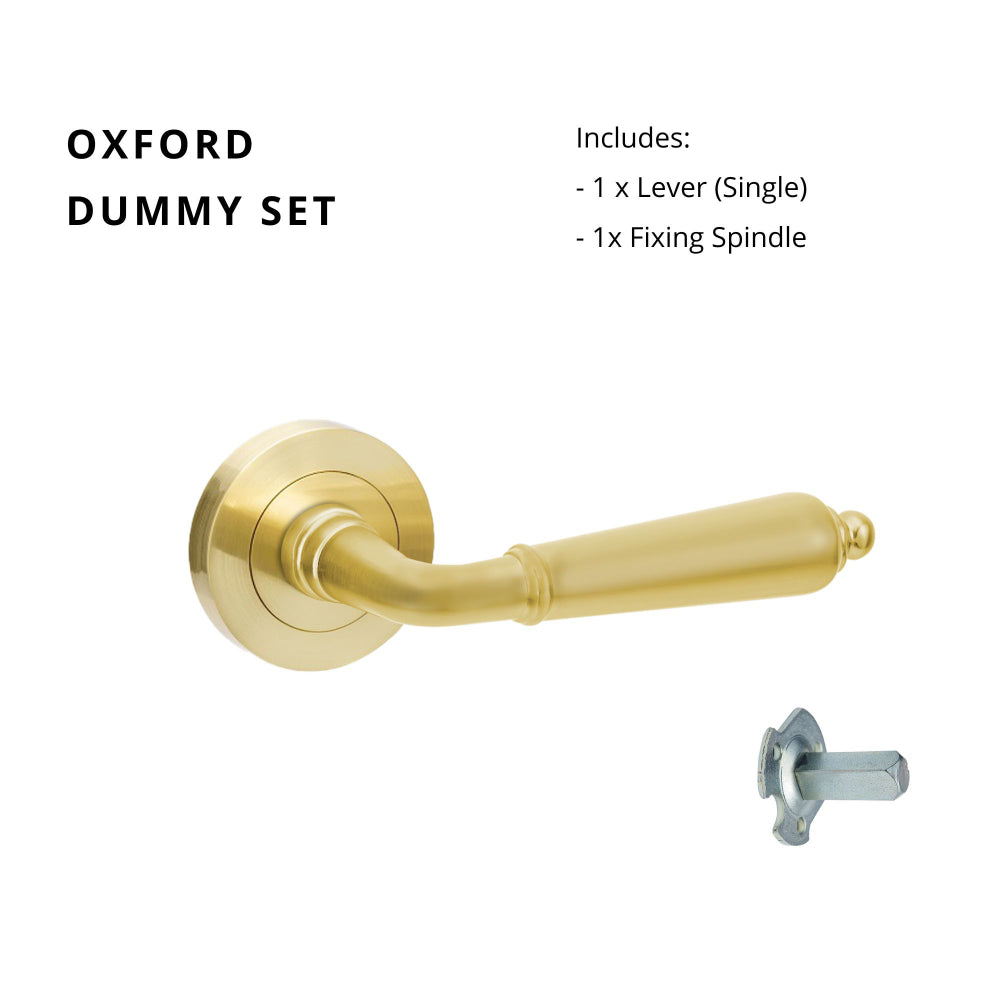 Oxford Dummy - Non Handed in Satin Brass