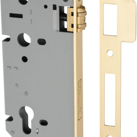 Mortice Lock Roller Euro Brushed Gold PVD CTC85mm Backset 60mm in Brushed Gold PVD