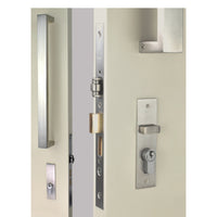OZI-3-Combos - Right Hand SS inside plate 120x30x3mm outside plate 120x30x3mm Pull handle set 400mm Std striker kit Order extended striker for pivot doors   in Satin Stainless