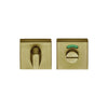 BASICS BSQWC53 privacy set incl. 5/6/7/8 mm pin PVD satin gold   in Satin Gold PVD