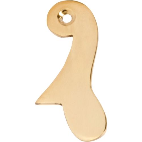Sash Drop Polished Brass H60xW30mm in Polished Brass