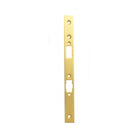 MOMO ROLLER MORTICE LOCK FOREND PLATE FOR USE WITH EURO CYLINDER BRUSHED SATIN BRASS in Brushed Satin Brass