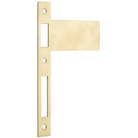 Extended Striker Polished Brass CTC85mm H198xW122mm in Polished Brass