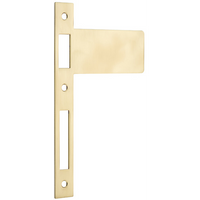 Extended Striker Polished Brass CTC85mm H198xW122mm in Polished Brass