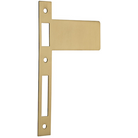 Extended Striker Brushed Brass CTC85mm H198xW122mm in Brushed Brass