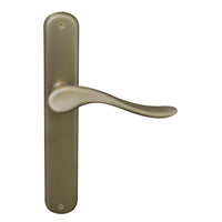Haven Oval Backplate in Roman Brass