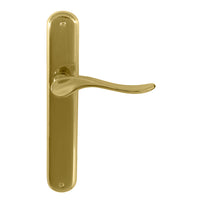 Haven Oval Backplate in Polished Brass Unlacquered