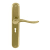 Haven Oval Backplate Std Keyhole in Polished Brass