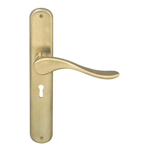 Haven Oval Backplate Std Keyhole in Satin Brass Unlaquered