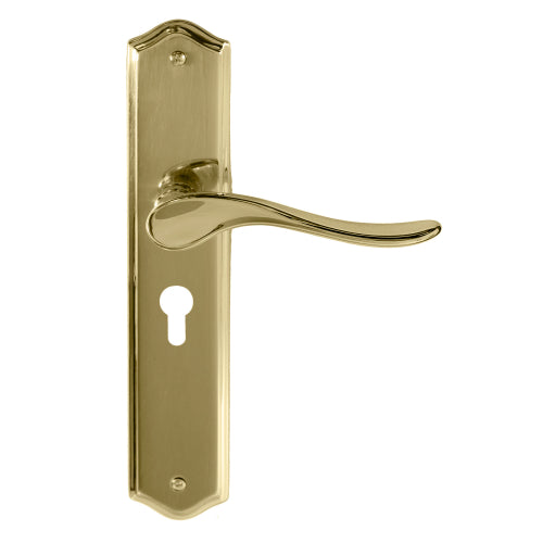 Haven Traditional Backplate E48 Keyhole in Polished Brass