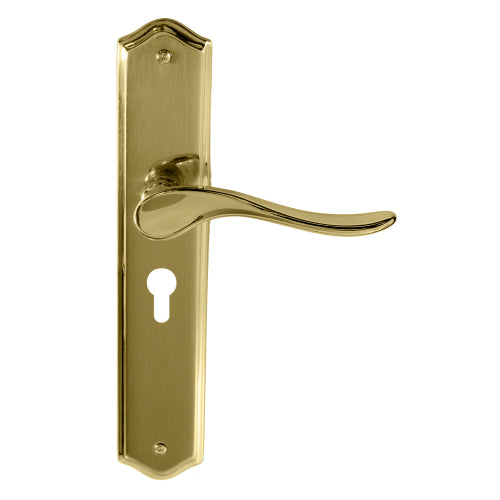 Haven Traditional Backplate E48 Keyhole in Polished Brass Unlacquered
