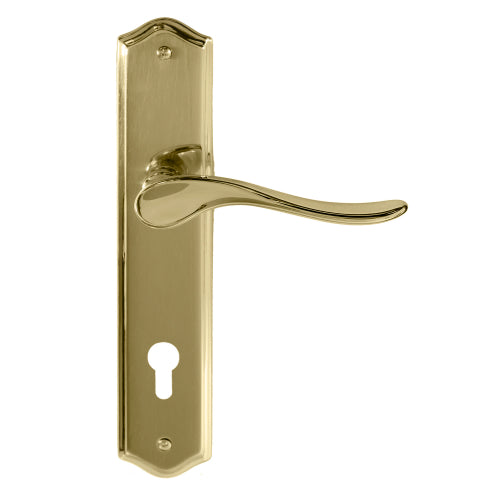 Haven Traditional Backplate E85 Keyhole in Polished Brass