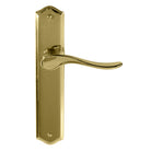 Haven Traditional Backplate in Polished Brass Unlacquered