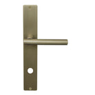 Charleston Square Backplate - Priv 85mm in Roman Brass
