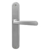 Villa Oval Backplate in Satin Chrome