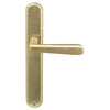 Villa Oval Backplate in Satin Brass Unlaquered