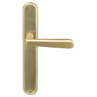 Villa Oval Backplate in Satin Brass Unlaquered