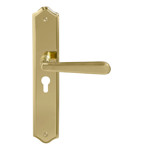 Villa Traditional Backplate E48 Keyhole in Polished Brass