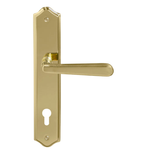 Villa Traditional Backplate E85 Keyhole in Polished Brass