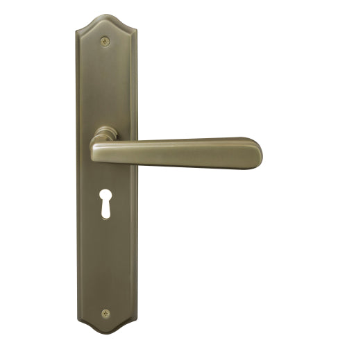 Villa Traditional Backplate Std Keyhole in Roman Brass