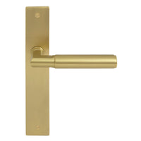 NIDO - Sona Lever on Backplate in Matt Satin Brass