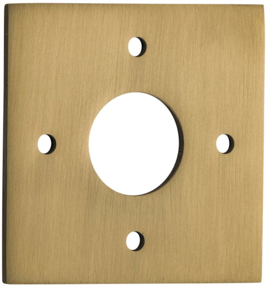 Adaptor Plate Pair Square Rose Brushed Brass H60xW60mm in Brushed Brass