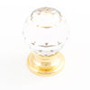 Castella Sovereign Cabinet Knob in Transparent Crystal / Bright Gold