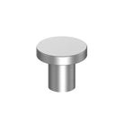 PM123 Bell Knob in Matt Silver