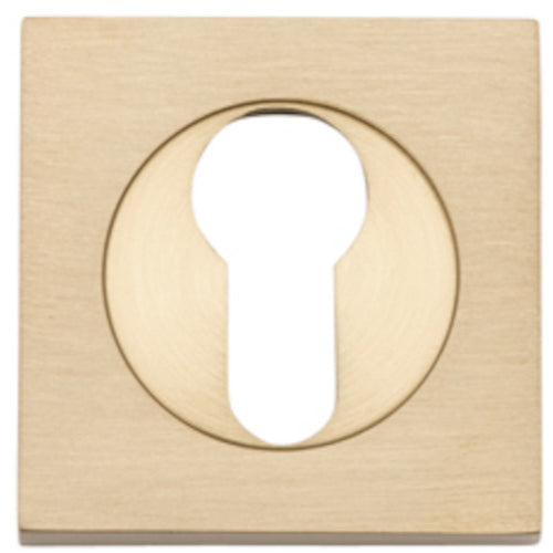 Escutcheon Euro Concealed Fix Square Pair Brushed Brass H52xW52xP10mm in Brushed Brass