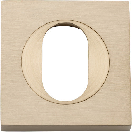 Escutcheon Oval Square Pair Brushed Brass H52xW52xP10mm in Brushed Brass