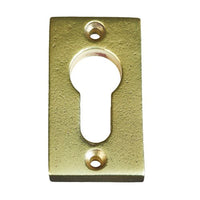 ESCUTCHEON CYLINDER / AGED GOLD / VERTICAL / PC in Aged Gold