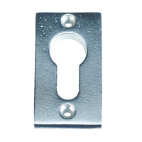 ESCUTCHEON CYLINDER / OLD SILVER / VERTICAL / PC in Old Silver