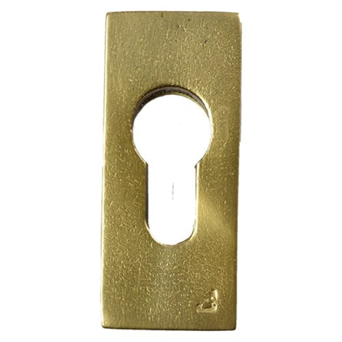 SECURITY ROSE /Aged Gold D=10MM 70*30MM   in Aged Gold