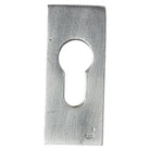 SECURITY ROSE BRASS/OLD SILVER D=10MM 70*30MM in Old Silver