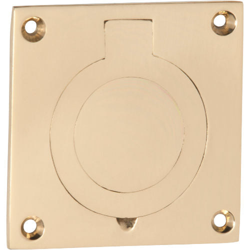 Cellar Door Pull Polished Brass H61xW61mm in Polished Brass