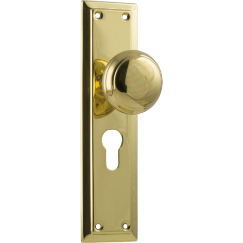 Door Knob Richmond Euro Pair Polished Brass H200xW50xP62mm in Polished Brass