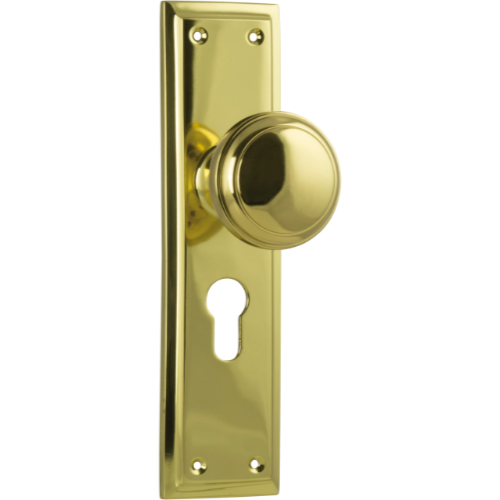Door Knob Milton Euro Pair Unlacquered Polished Brass H200xW50xP73mm in Unlacquered Polished Brass