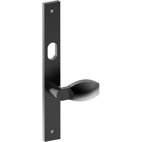 ASH Door Handle on B02 INTERNAL Australian Standard Backplate with Cylinder Hole, Visible Fixing (Half Set) 64mm CTC in Black Teflon