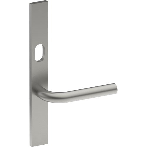 CAPRI Door Handle on B02 EXTERNAL Australian Standard Backplate with Cylinder Hole, Concealed Fixing (Half Set) 64mm CTC in Satin Stainless