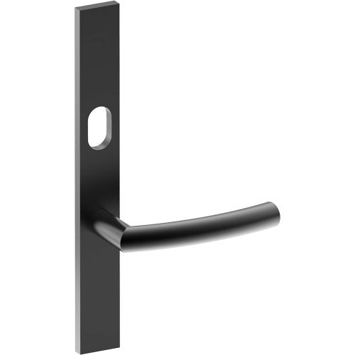 CURVE Door Handle on B02 EXTERNAL Australian Standard Backplate with Cylinder Hole, Concealed Fixing (Half Set) 64mm CTC in Black Teflon