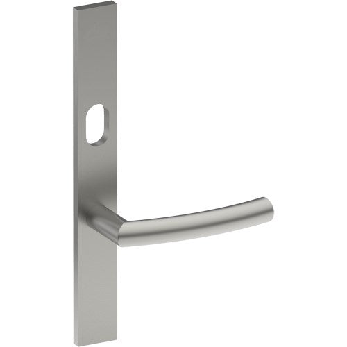 CURVE Door Handle on B02 EXTERNAL Australian Standard Backplate with Cylinder Hole, Concealed Fixing (Half Set) 64mm CTC in Satin Stainless