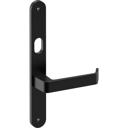 DIJON Door Handle on B01 INTERNAL Australian Standard Backplate with Cylinder Hole, Visible Fixing (Half Set) 64mm CTC in Black Teflon