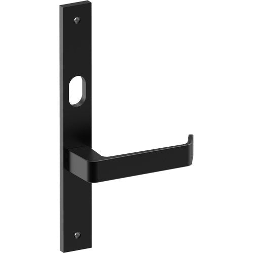 DIJON Door Handle on B02 INTERNAL Australian Standard Backplate with Cylinder Hole, Visible Fixing (Half Set) 64mm CTC in Black Teflon