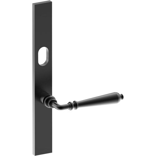 ELEGANTE Door Handle on B02 EXTERNAL Australian Standard Backplate with Cylinder Hole, Concealed Fixing (Half Set) 64mm CTC in Black Teflon