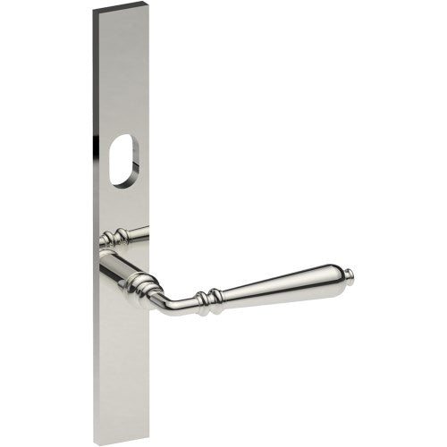 ELEGANTE Door Handle on B02 EXTERNAL Australian Standard Backplate with Cylinder Hole, Concealed Fixing (Half Set) 64mm CTC in Polished Stainless