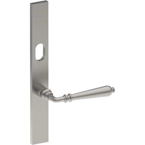 ELEGANTE Door Handle on B02 EXTERNAL Australian Standard Backplate with Cylinder Hole, Concealed Fixing (Half Set) 64mm CTC in Satin Stainless